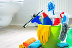 Messie Reinigung Elmshorn